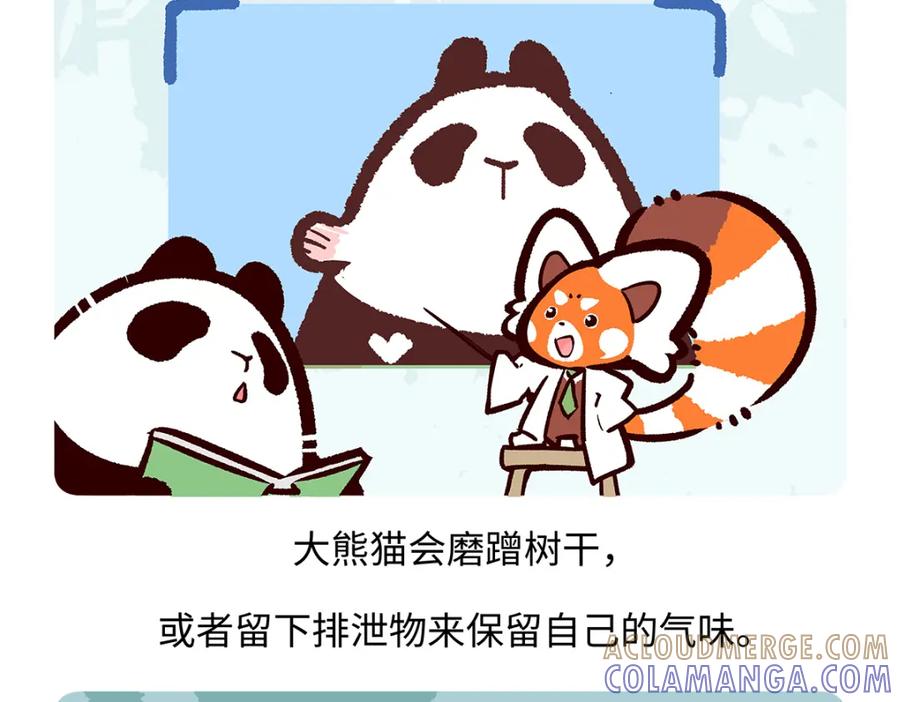 《胖达x胖达》第190话 第25页
