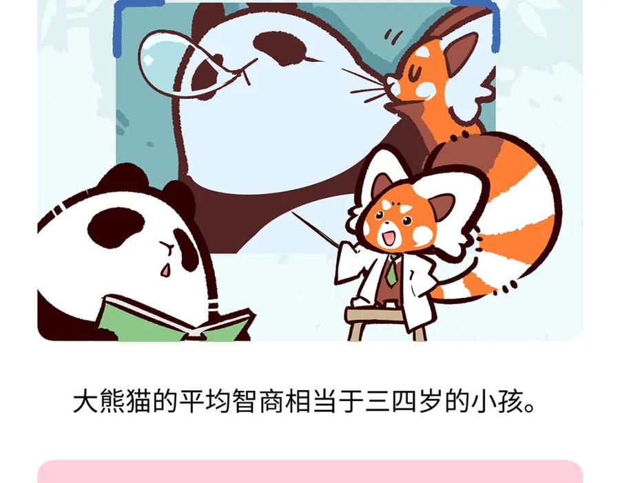 《胖达x胖达》第190话 第20页