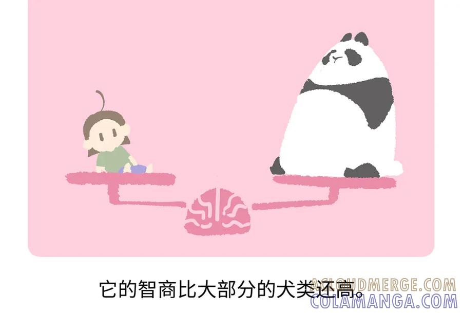 《胖达x胖达》第190话 第21页