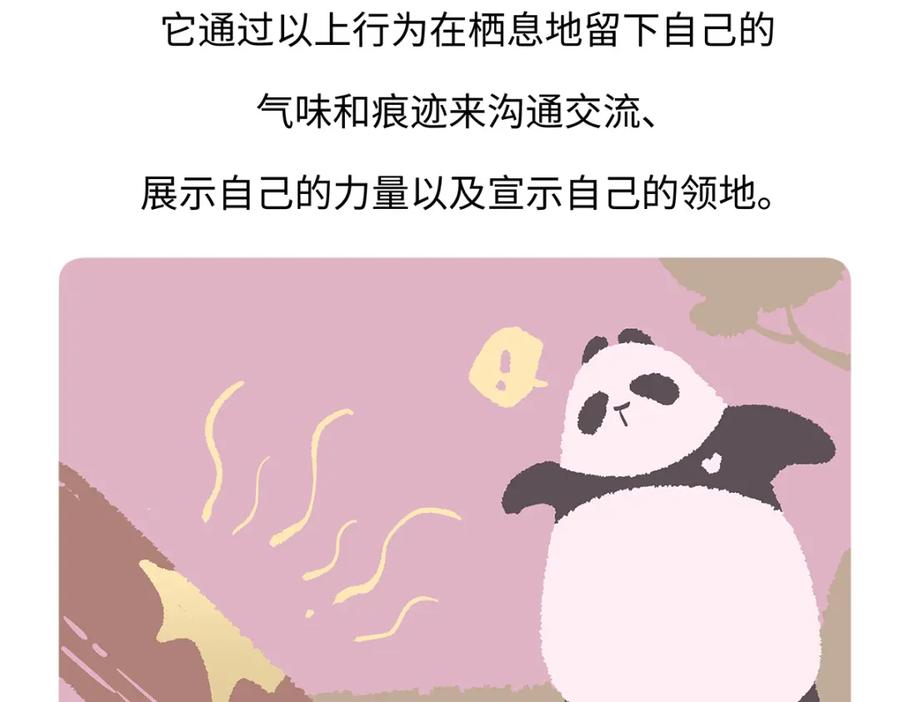 《胖达x胖达》第190话 第28页