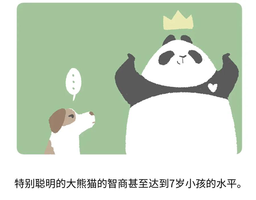 《胖达x胖达》第190话 第22页