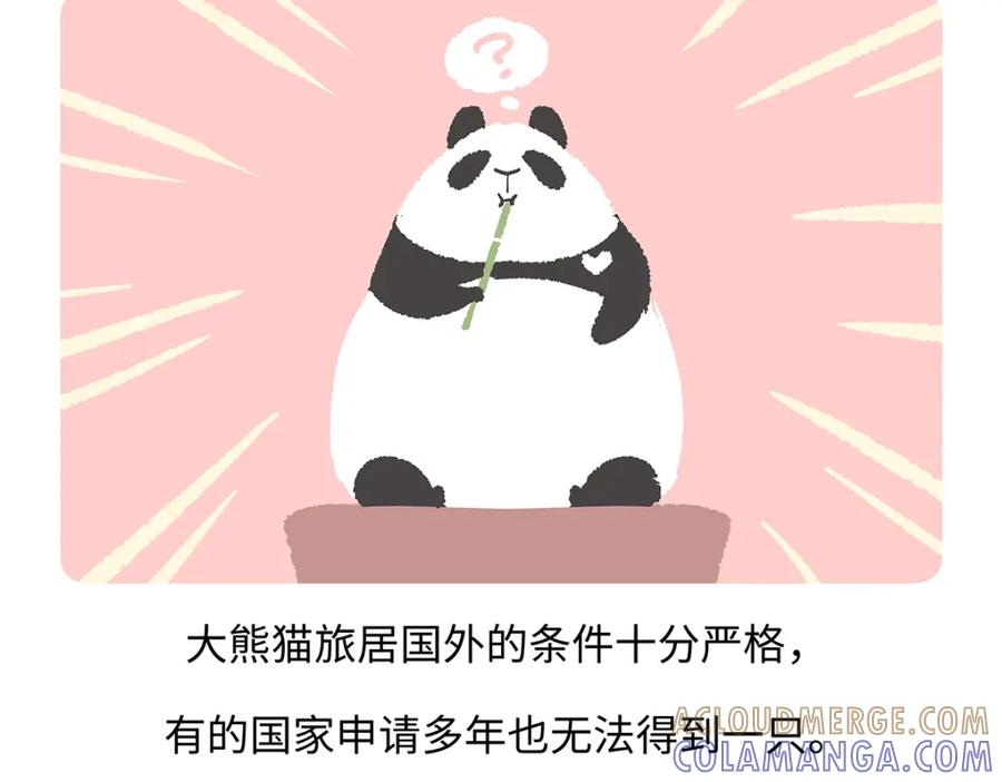 《胖达x胖达》第191话 第27页