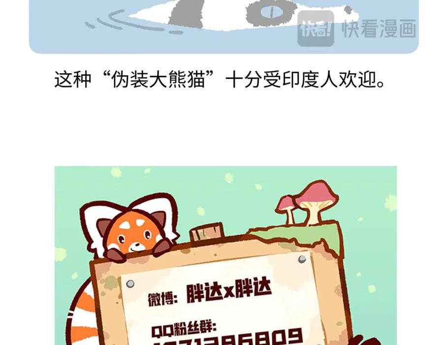 《胖达x胖达》第191话 第30页