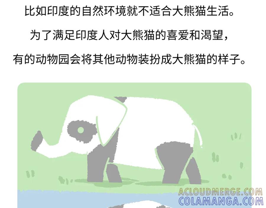 《胖达x胖达》第191话 第29页