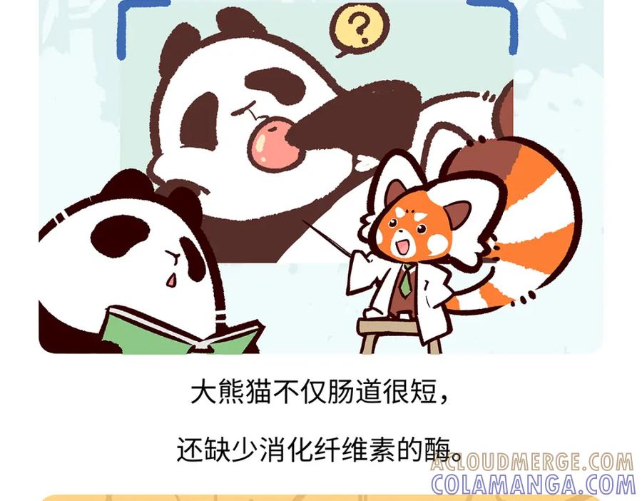 《胖达x胖达》第191话 第19页