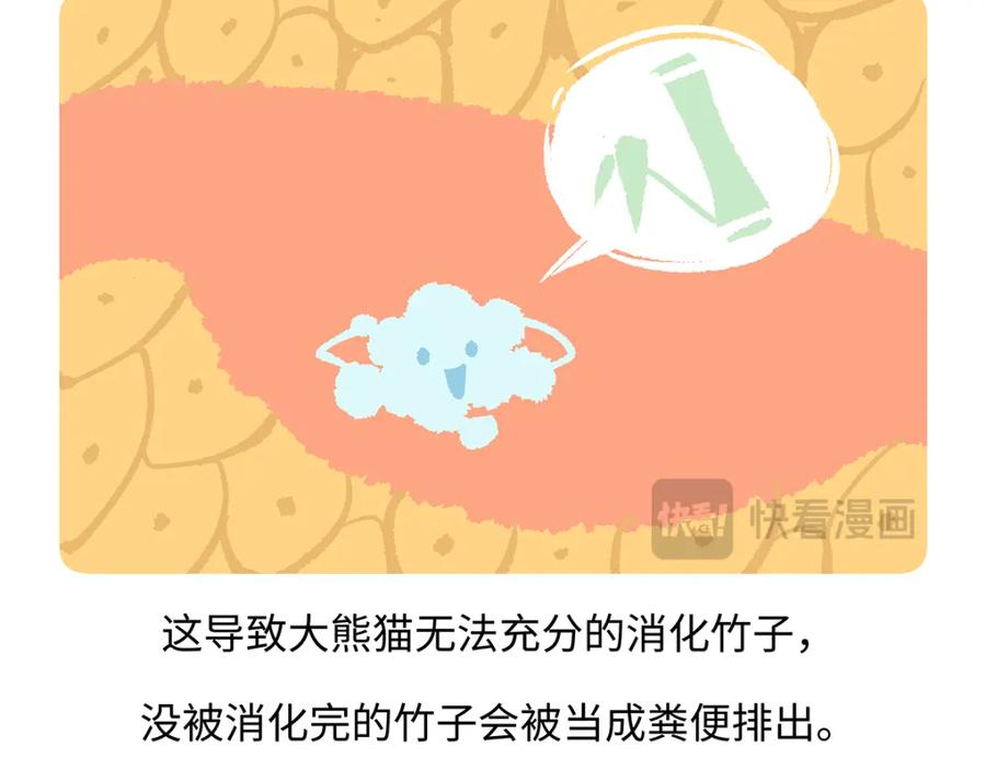《胖达x胖达》第191话 第20页