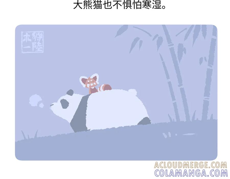 《胖达x胖达》第192话 第21页