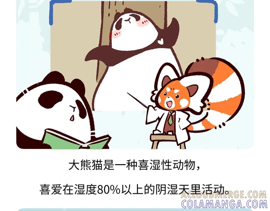 《胖达x胖达》第192话 第17页