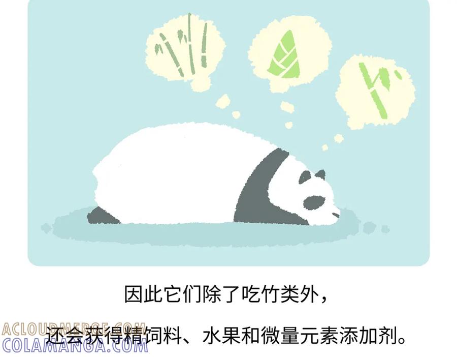 《胖达x胖达》第192话 第25页