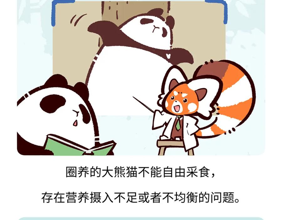 《胖达x胖达》第192话 第24页