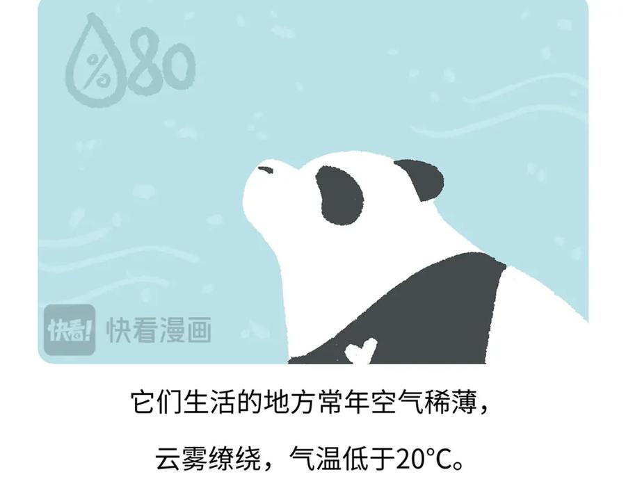 《胖达x胖达》第192话 第18页
