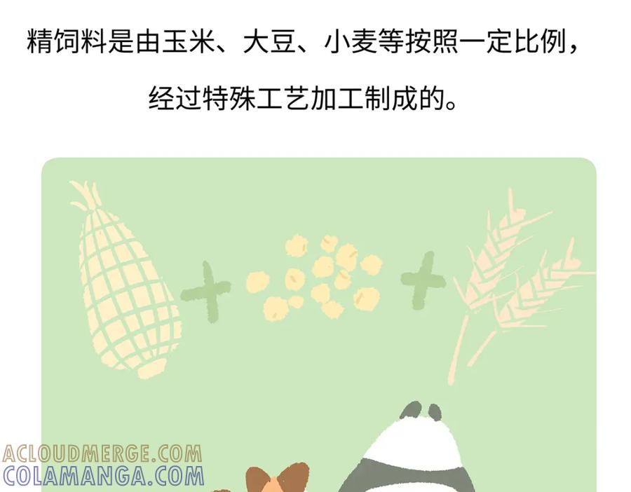 《胖达x胖达》第192话 第27页