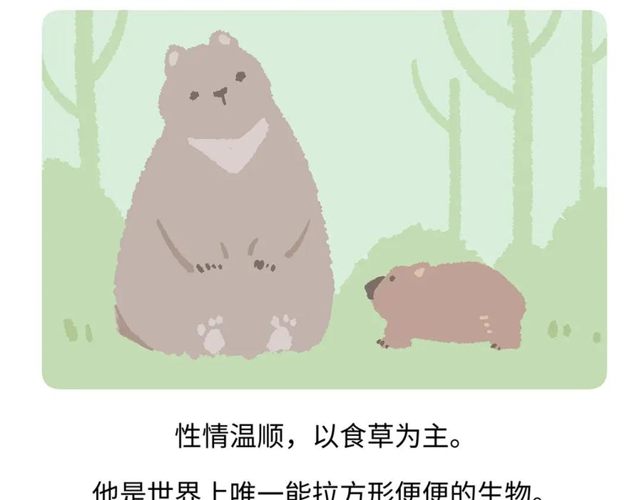 《胖达x胖达》第193话 第20页