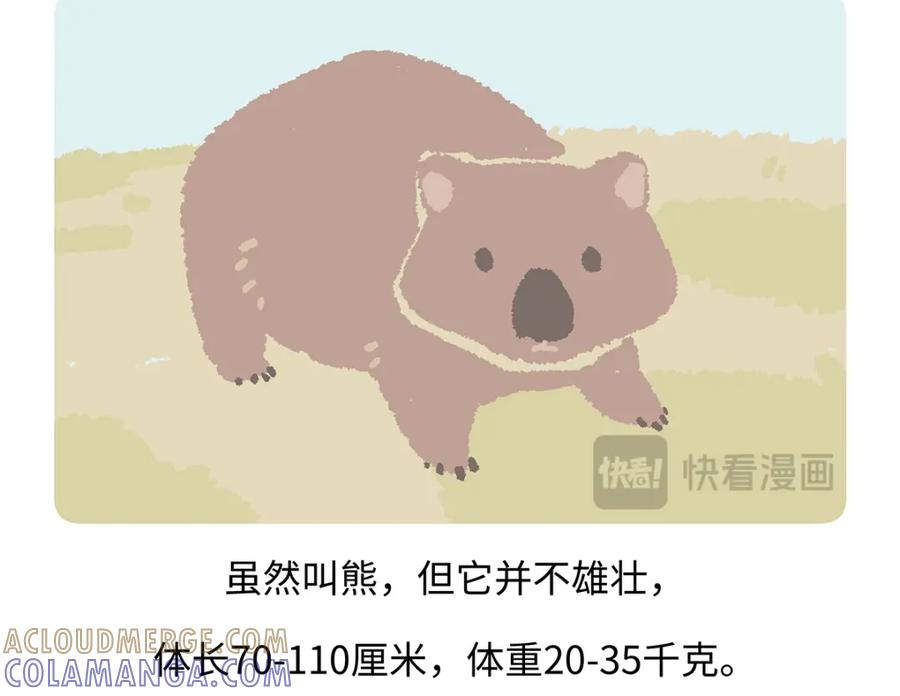 《胖达x胖达》第193话 第19页
