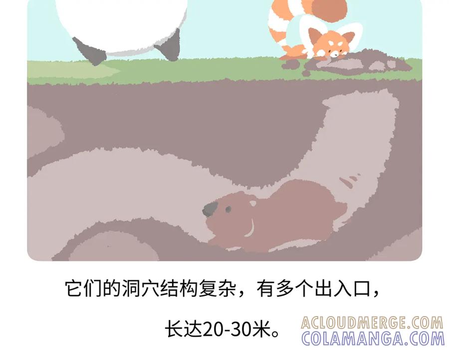 《胖达x胖达》第193话 第25页