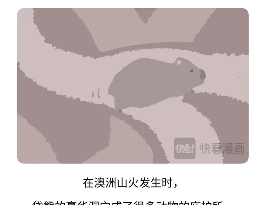 《胖达x胖达》第193话 第26页
