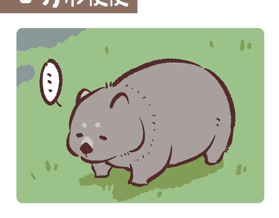 《胖达x胖达》第193话 第2页