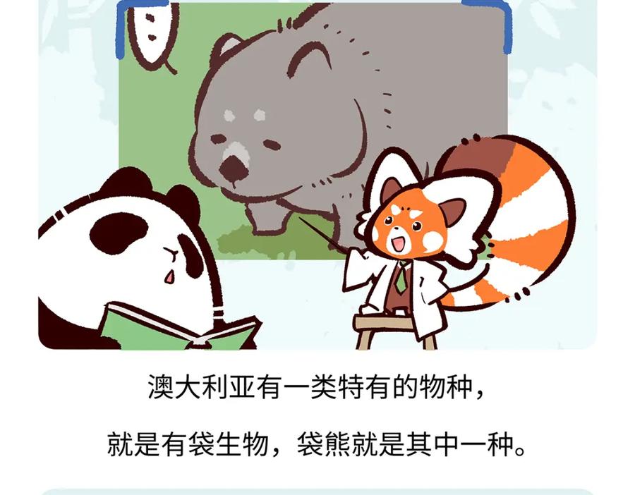 《胖达x胖达》第193话 第18页