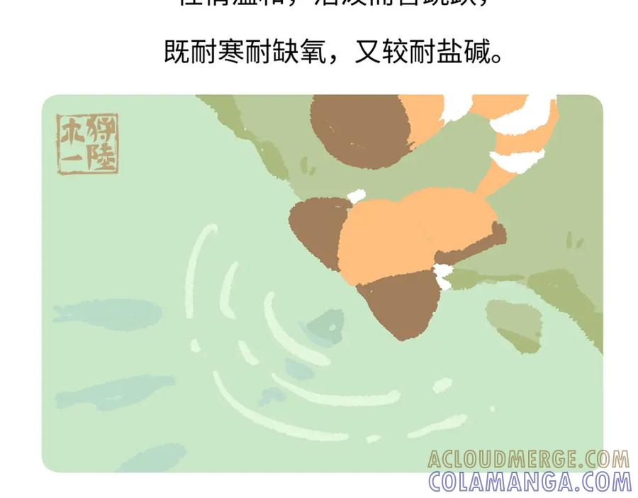 《胖达x胖达》第194话 第23页