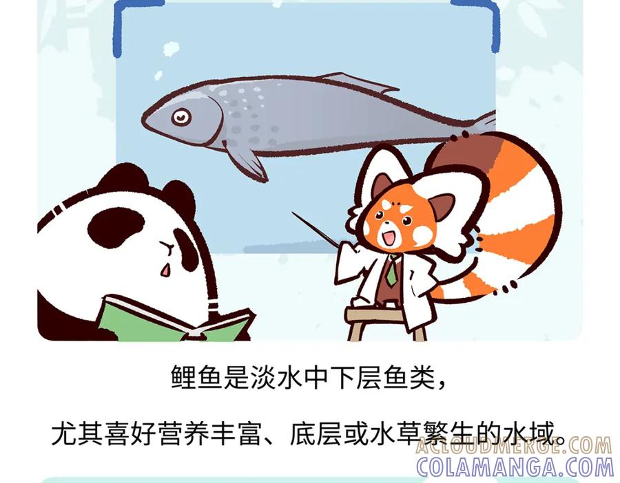 《胖达x胖达》第194话 第19页