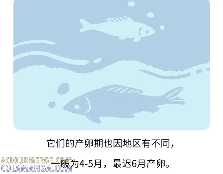 《胖达x胖达》第194话 第27页