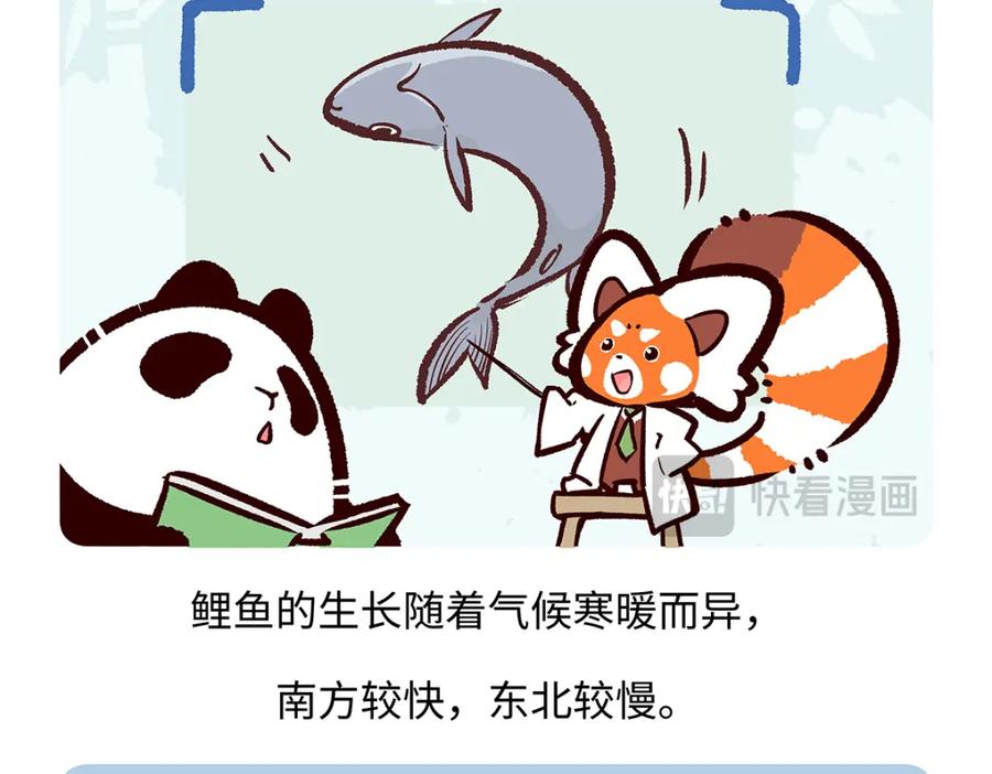 《胖达x胖达》第194话 第26页