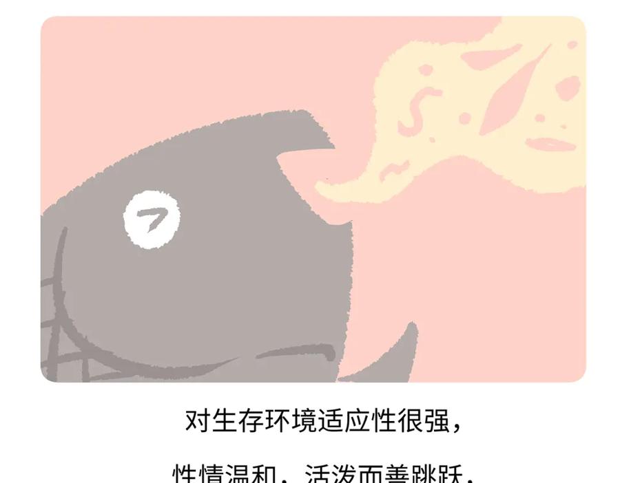 《胖达x胖达》第194话 第22页