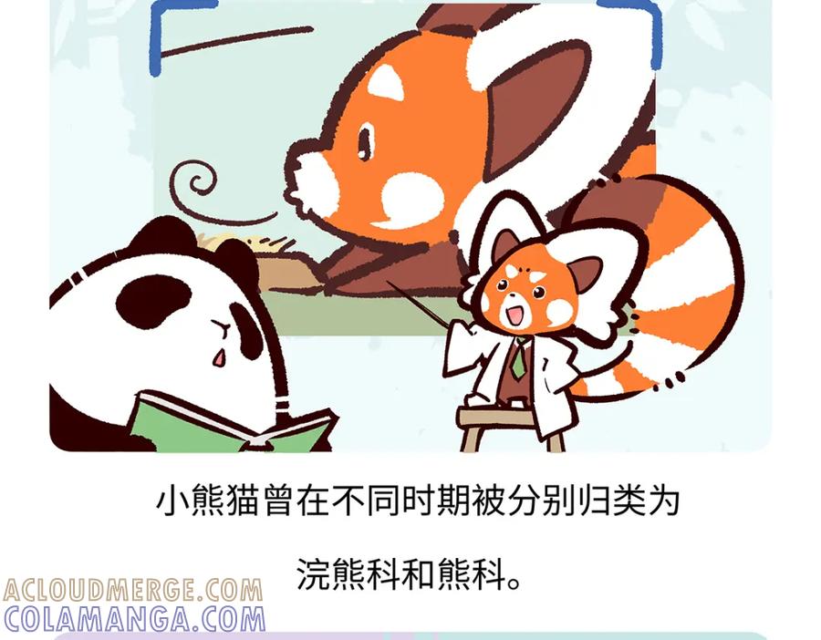 《胖达x胖达》第195话 第19页