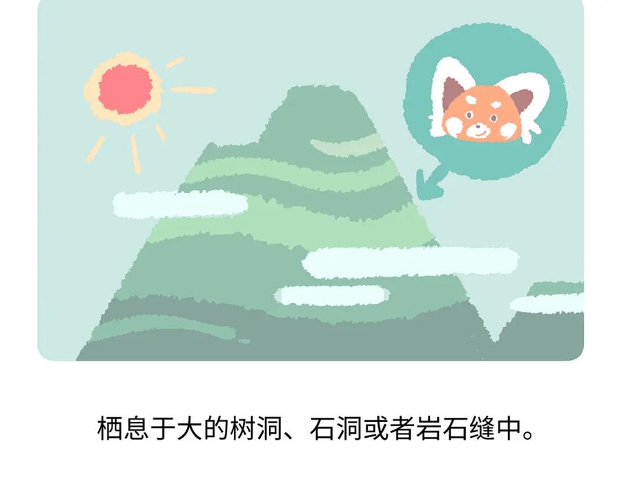 《胖达x胖达》第195话 第26页