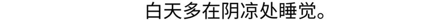 《胖达x胖达》第195话 第28页