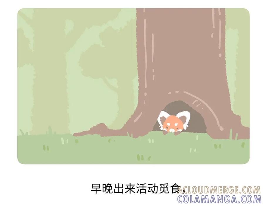 《胖达x胖达》第195话 第27页