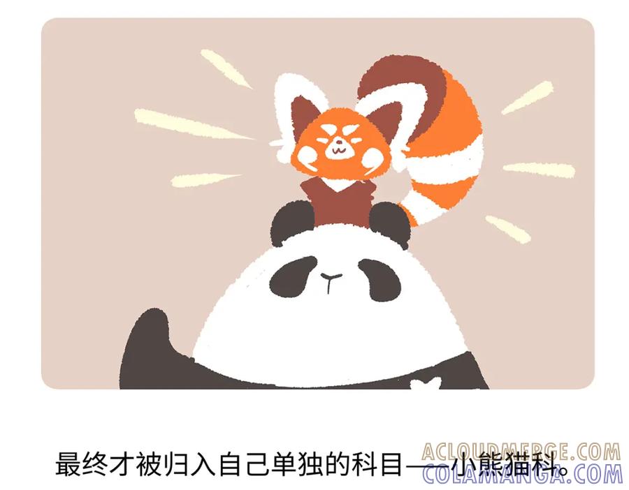 《胖达x胖达》第195话 第21页
