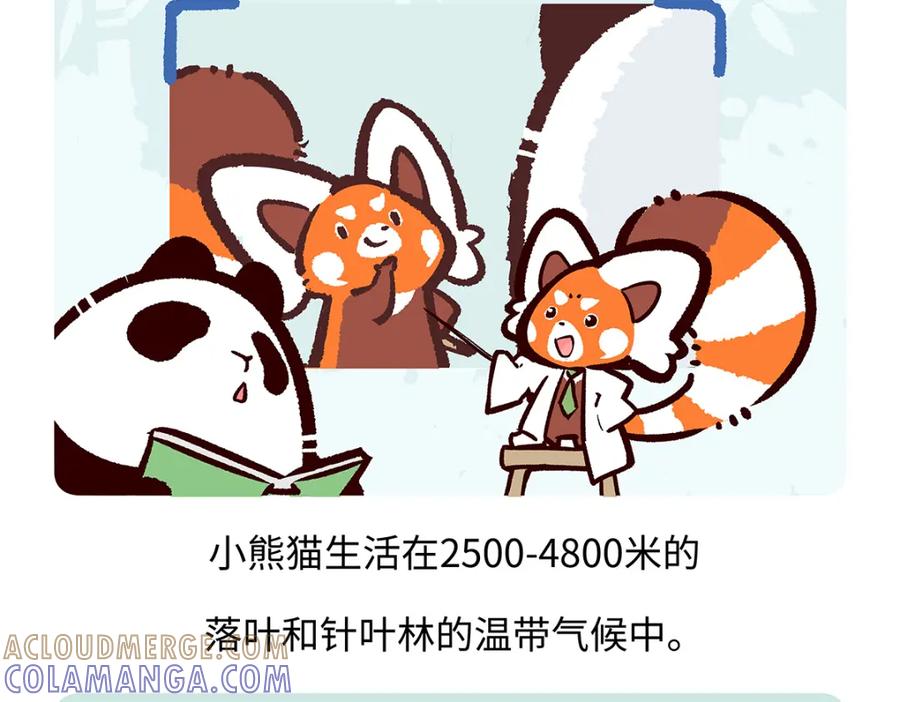 《胖达x胖达》第195话 第25页