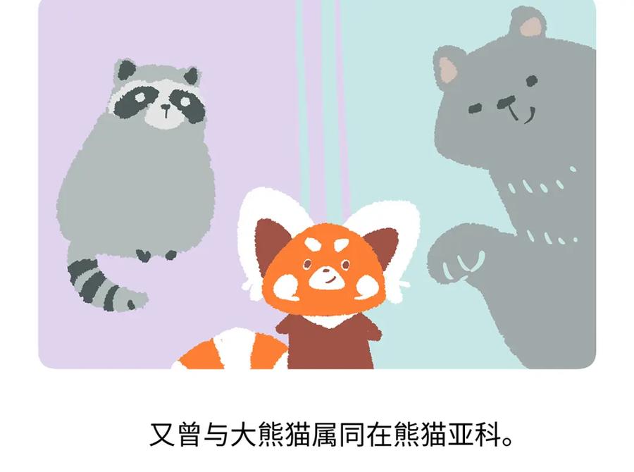 《胖达x胖达》第195话 第20页