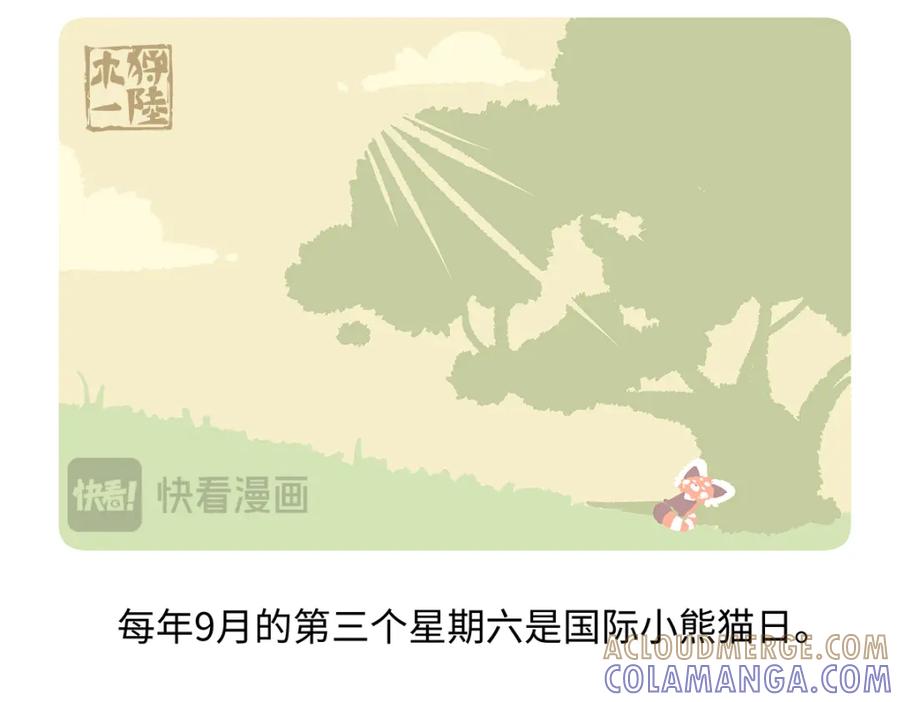 《胖达x胖达》第195话 第29页