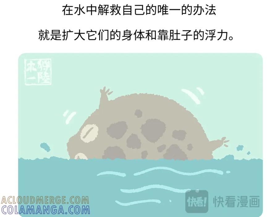 《胖达x胖达》第196话 第29页