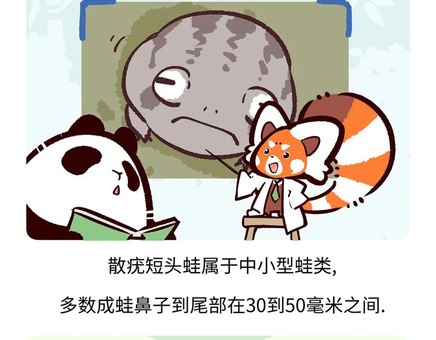 《胖达x胖达》第196话 第26页