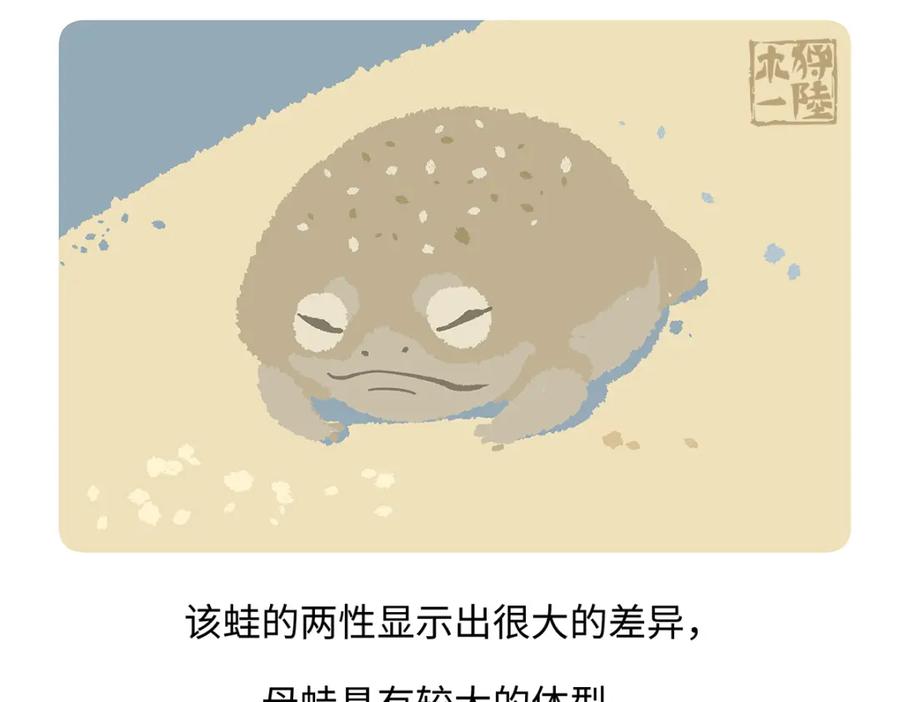 《胖达x胖达》第196话 第22页