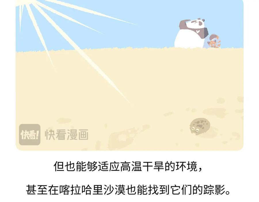《胖达x胖达》第196话 第20页