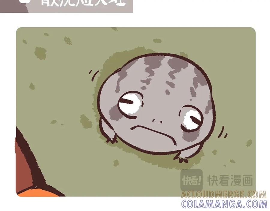 《胖达x胖达》第196话 第13页