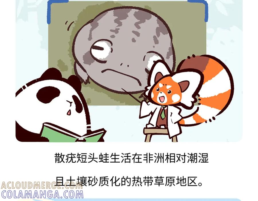 《胖达x胖达》第196话 第19页