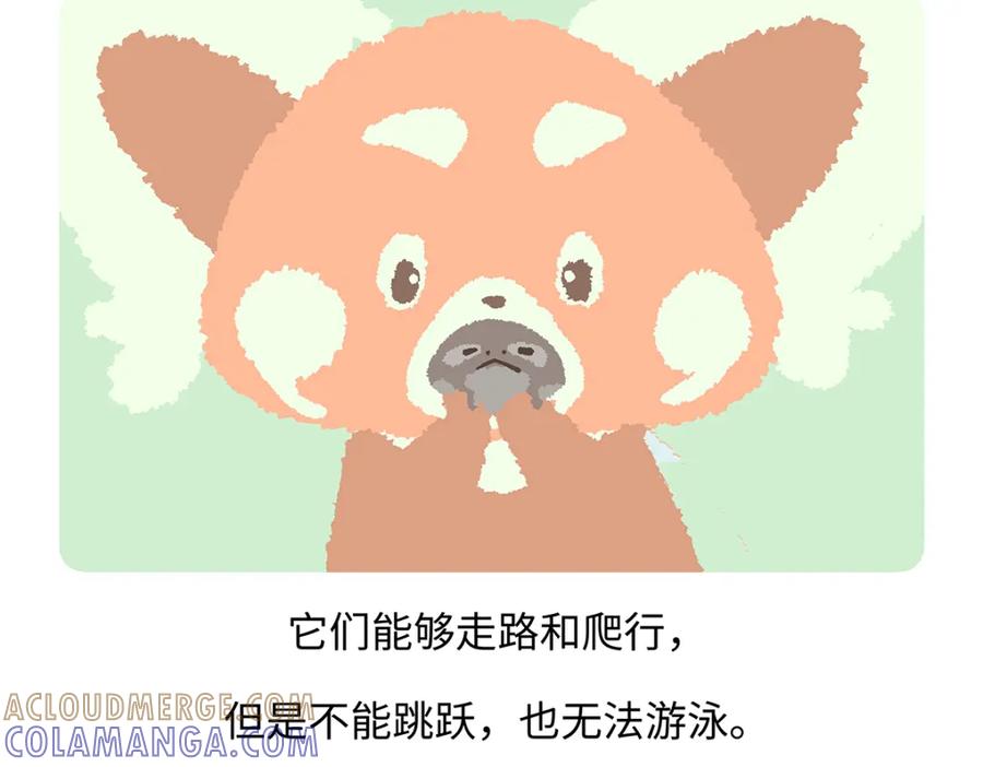 《胖达x胖达》第196话 第27页