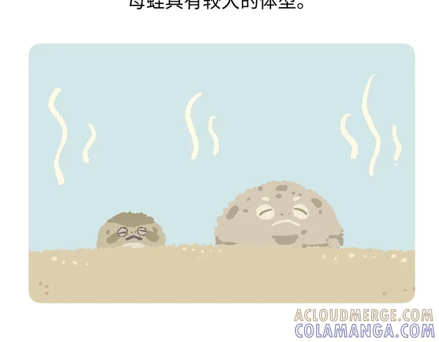 《胖达x胖达》第196话 第23页
