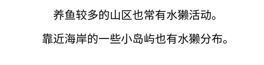 《胖达x胖达》第197话 第24页