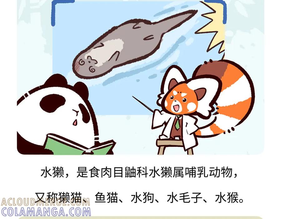 《胖达x胖达》第197话 第19页
