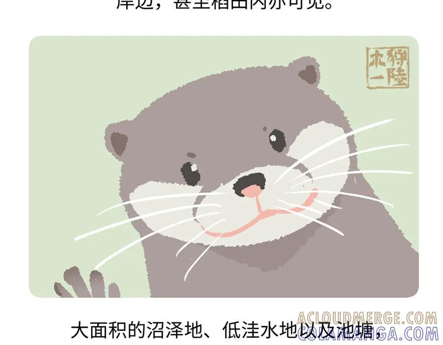 《胖达x胖达》第197话 第23页