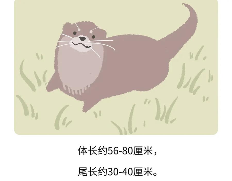 《胖达x胖达》第197话 第20页
