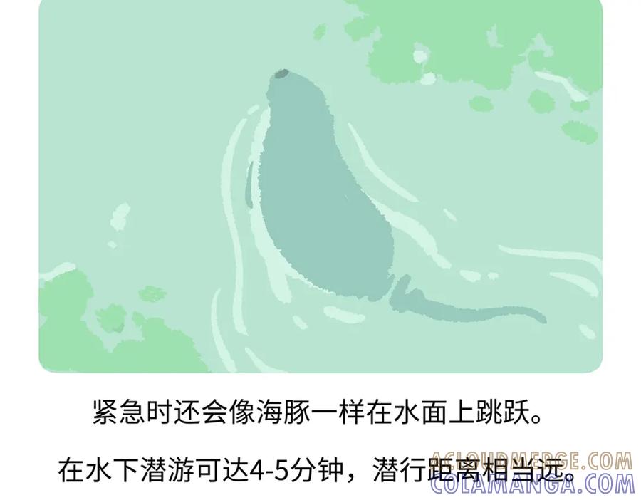 《胖达x胖达》第197话 第27页
