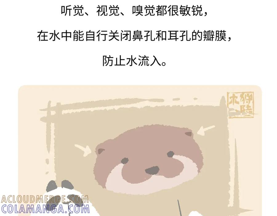 《胖达x胖达》第197话 第29页