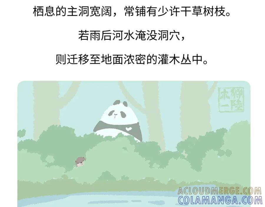《胖达x胖达》第198话 第29页